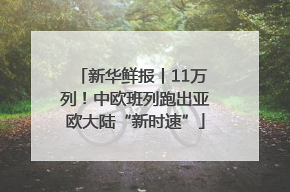 新华鲜报丨11万列！中欧班列跑出亚欧大陆“新时速”